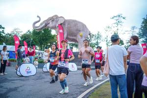 BIB: 
                            <button type="button" onclick="openModal(26551661)" class="btn btn-primary btn-sm float-right btn-popup" data-toggle="modal" data-target=".modal-high-quality">
                        <i class="fas fa-shopping-cart"></i> Add to Cart
                    </button>
                                            <button type="button" onclick="isThisMe(26551661, true)" class="btn btn-success btn-sm float-right btn-popup btn-isme hidden" data-toggle="tooltip" data-placement="bottom" title="นี่คือรูปของคุณใช่ไหม คลิกที่นี่เพื่อเอาเข้าอัลบั้ม">
                        <i class="fas fa-plus"></i> Add to album
                    </button>
                    <button type="button" onclick="isThisMe(26551661, false)" class="btn btn-warning btn-sm float-right btn-popup btn-isnotme hidden">
                        <i class="fas fa-ban"></i> Remove from album
                    </button>